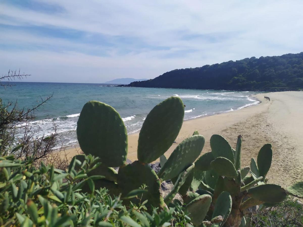 Appartamento A 50 Mt Dal Mare Cala Gonone Extérieur photo