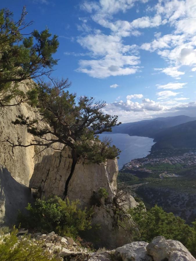 Appartamento A 50 Mt Dal Mare Cala Gonone Extérieur photo