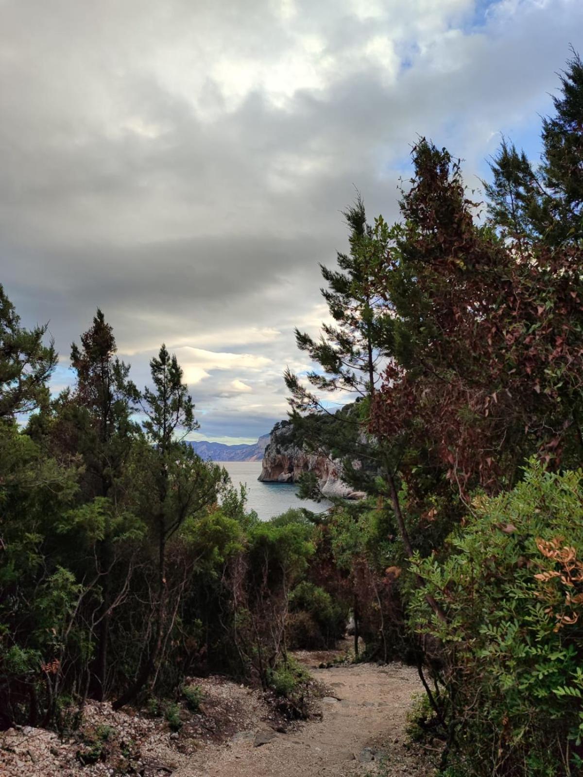 Appartamento A 50 Mt Dal Mare Cala Gonone Extérieur photo